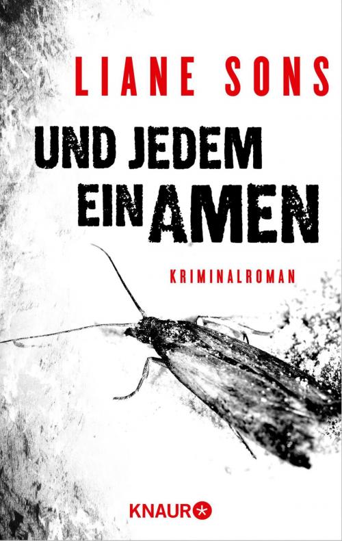 Cover of the book Und jedem ein Amen by Liane Sons, Knaur eBook