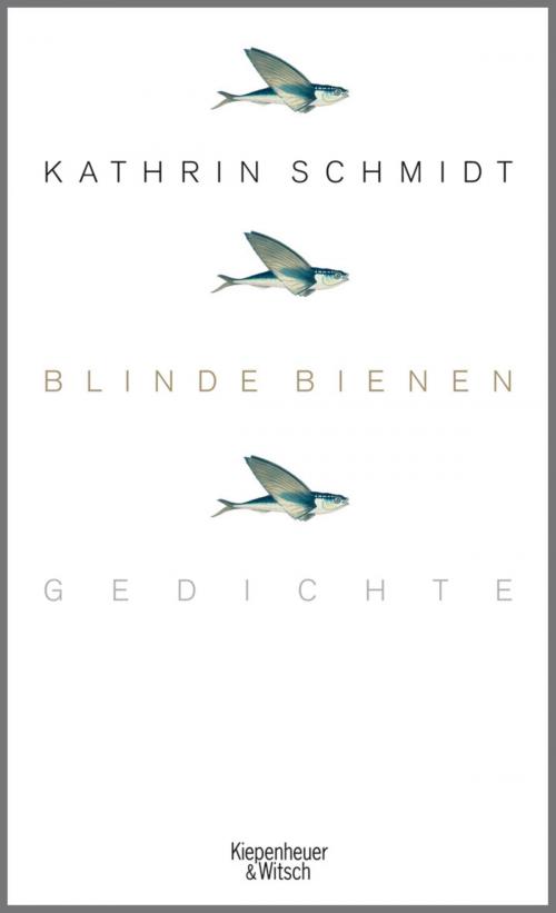 Cover of the book Blinde Bienen by Kathrin Schmidt, Kiepenheuer & Witsch eBook