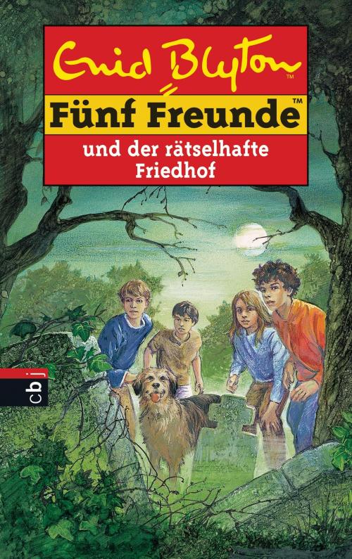 Cover of the book Fünf Freunde und der rätselhafte Friedhof by Enid Blyton, cbj