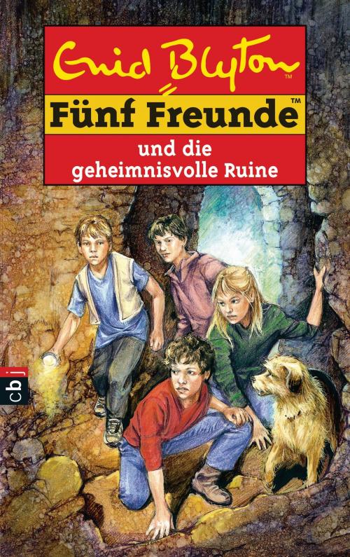 Cover of the book Fünf Freunde und die geheimnisvolle Ruine by Enid Blyton, cbj