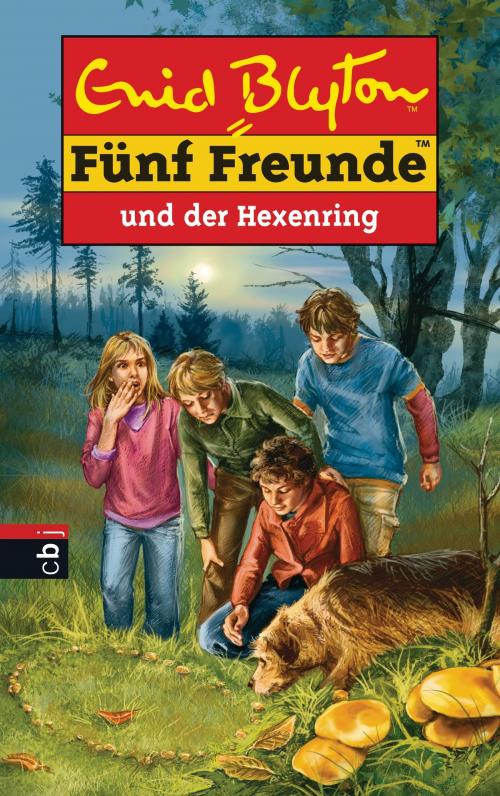 Cover of the book Fünf Freunde und der Hexenring by Enid Blyton, cbj