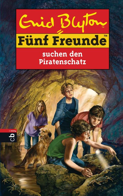 Cover of the book Fünf Freunde suchen den Piratenschatz by Enid Blyton, cbj