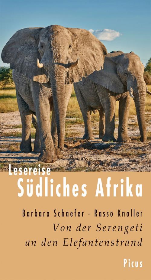 Cover of the book Lesereise Südliches Afrika by Barbara Schaefer, Rasso Knoller, Picus Verlag