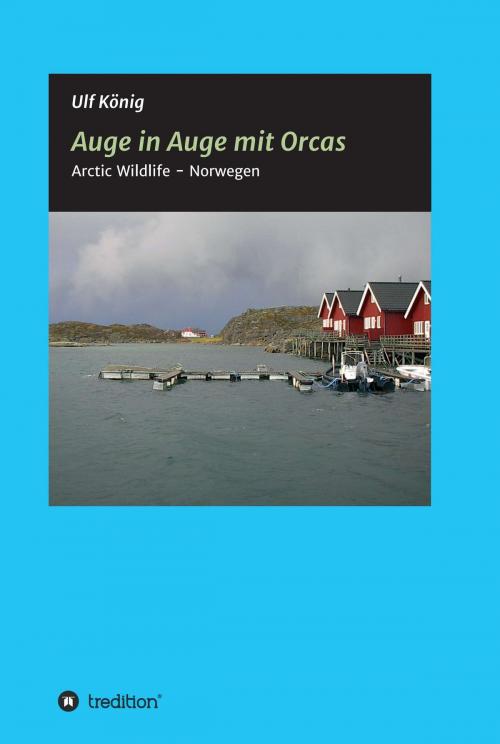 Cover of the book Auge in Auge mit Orcas by Ulf König, tredition