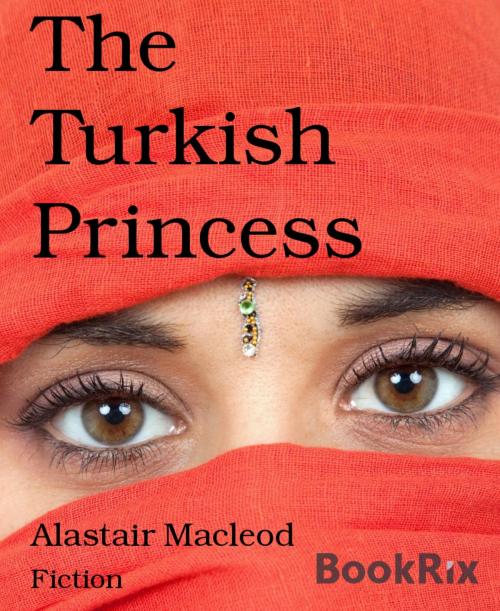 Cover of the book The Turkish Princess by Alastair Macleod, BookRix