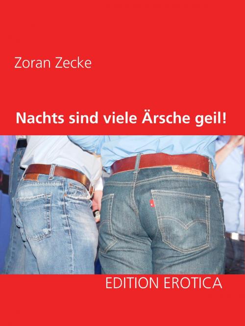 Cover of the book Nachts sind viele Ärsche geil! by Zoran Zecke, Books on Demand