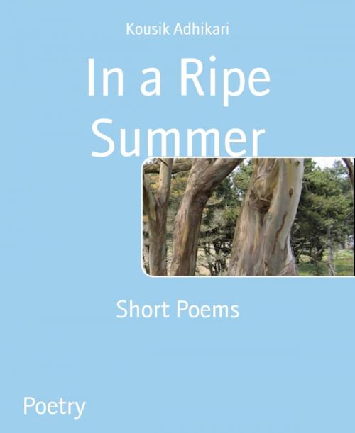 Cover of the book In a Ripe Summer by Kousik Adhikari, BookRix