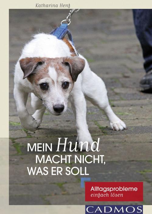 Cover of the book Mein Hund macht nicht, was er soll by Katharina Henf, Cadmos Verlag