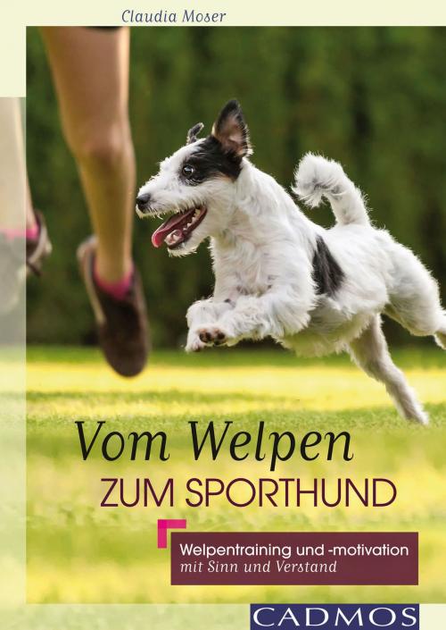 Cover of the book Vom Welpen zum Sporthund by Claudia Moser, Cadmos Verlag
