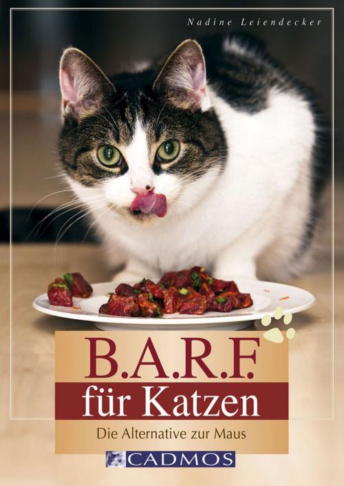 Cover of the book B.A.R.F. für Katzen by Nadine Leiendecker, Cadmos Verlag