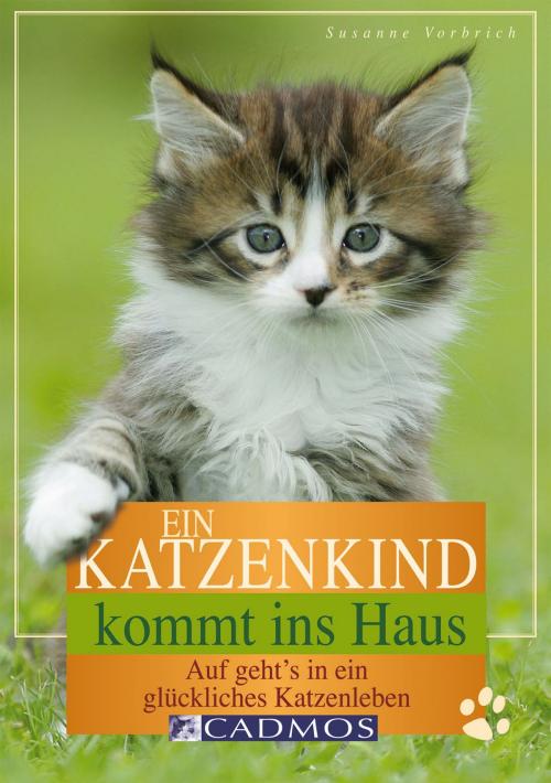 Cover of the book Ein Katzenkind kommt ins Haus by Susanne Vorbrich, Cadmos Verlag