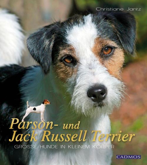 Cover of the book Parson- und Jack Russell Terrier by Christiane Jantz, Cadmos Verlag