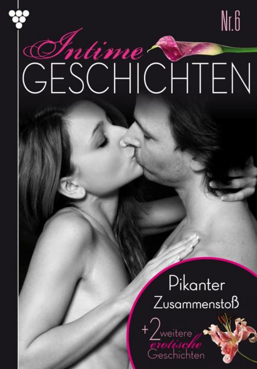 Cover of the book Intime Geschichten 6 – Erotikroman by Susan Perry, Kelter Media
