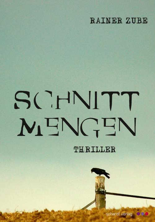 Cover of the book Schnittmengen: Thriller by Rainer Zube, Schardt Verlag