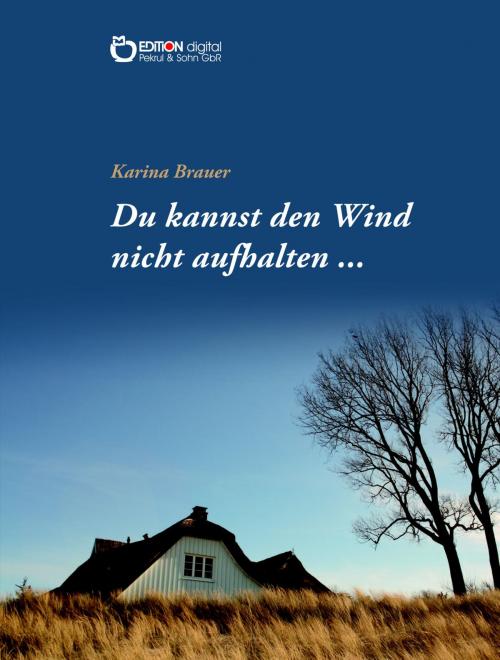 Cover of the book Du kannst den Wind nicht aufhalten ... by Karina Brauer, EDITION digital