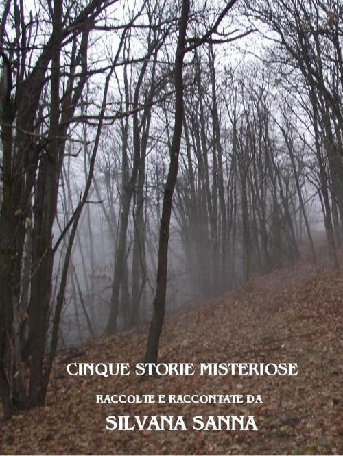 Cover of the book Cinque storie misteriose by Silvana Sanna, Silvana Sanna