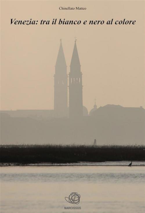 Cover of the book Venezia: tra il bianco e nero al colore by Matteo Chinellato, Matteo Chinellato