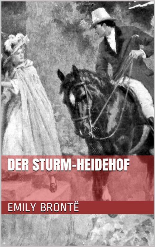 Cover of the book Der Sturm-Heidehof by Emily Brontë, Paperless