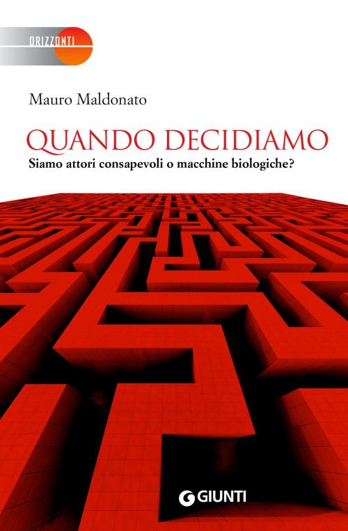 Cover of the book Quando decidiamo by Mauro Maldonato, Giunti