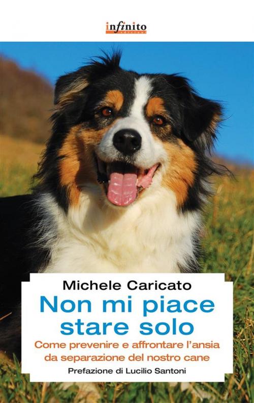Cover of the book Non mi piace stare solo by Michele Caricato, Infinito edizioni
