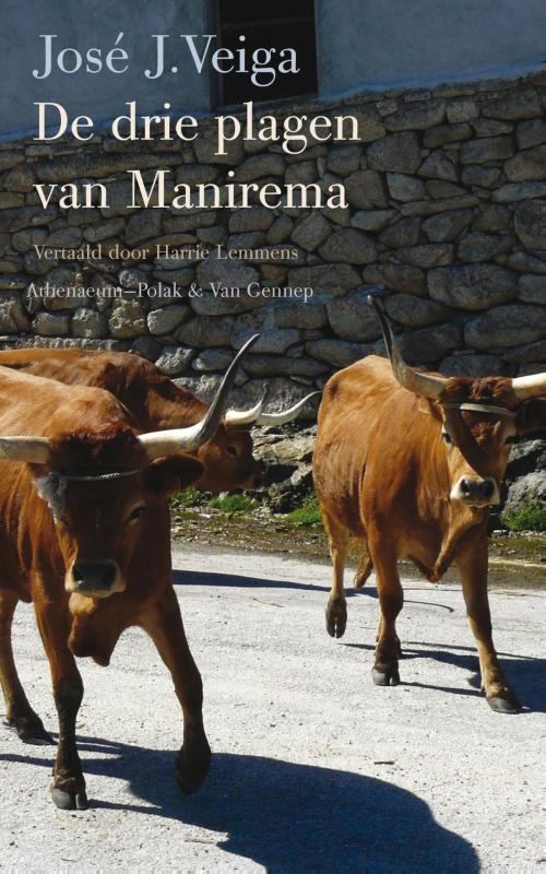 Cover of the book De drie plagen van Manirema by José Veiga, Singel Uitgeverijen