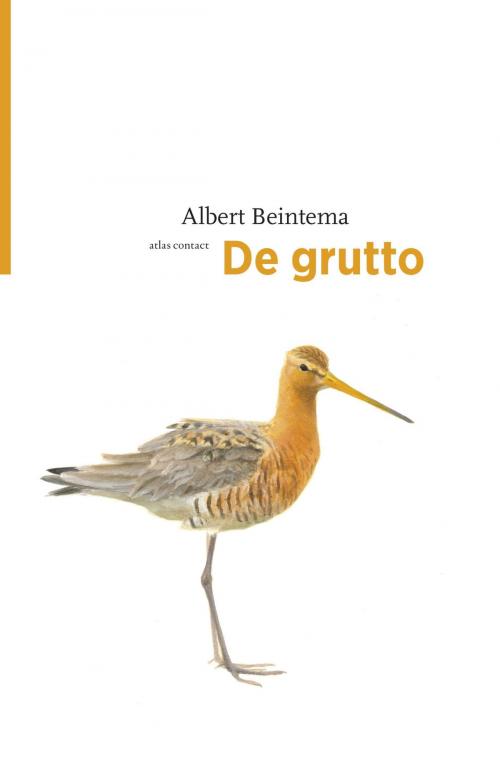 Cover of the book De grutto by Albert Beintema, Atlas Contact, Uitgeverij