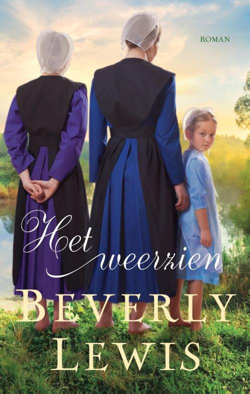 Cover of the book Het weerzien by Beverly Lewis, VBK Media