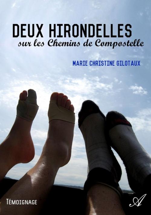 Cover of the book Deux hirondelles sur les Chemins de Compostelle by Marie Christine Gilotaux, Atramenta