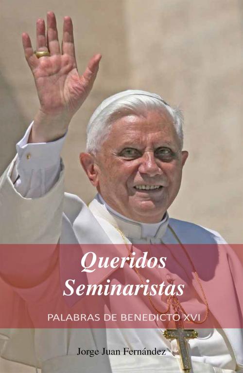 Cover of the book Queridos Seminaristas by Jorge Juan Fernández, Nueva Patris