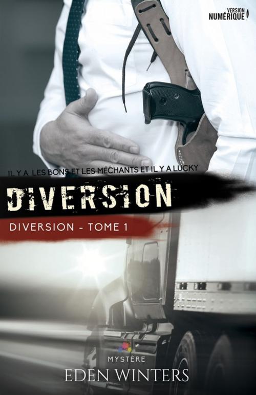 Cover of the book Diversion by Eden Winters, MxM Bookmark