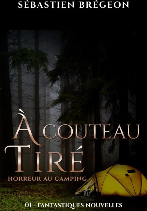Cover of the book À couteau tiré by Sébastien Brégeon, Sébastien Brégeon