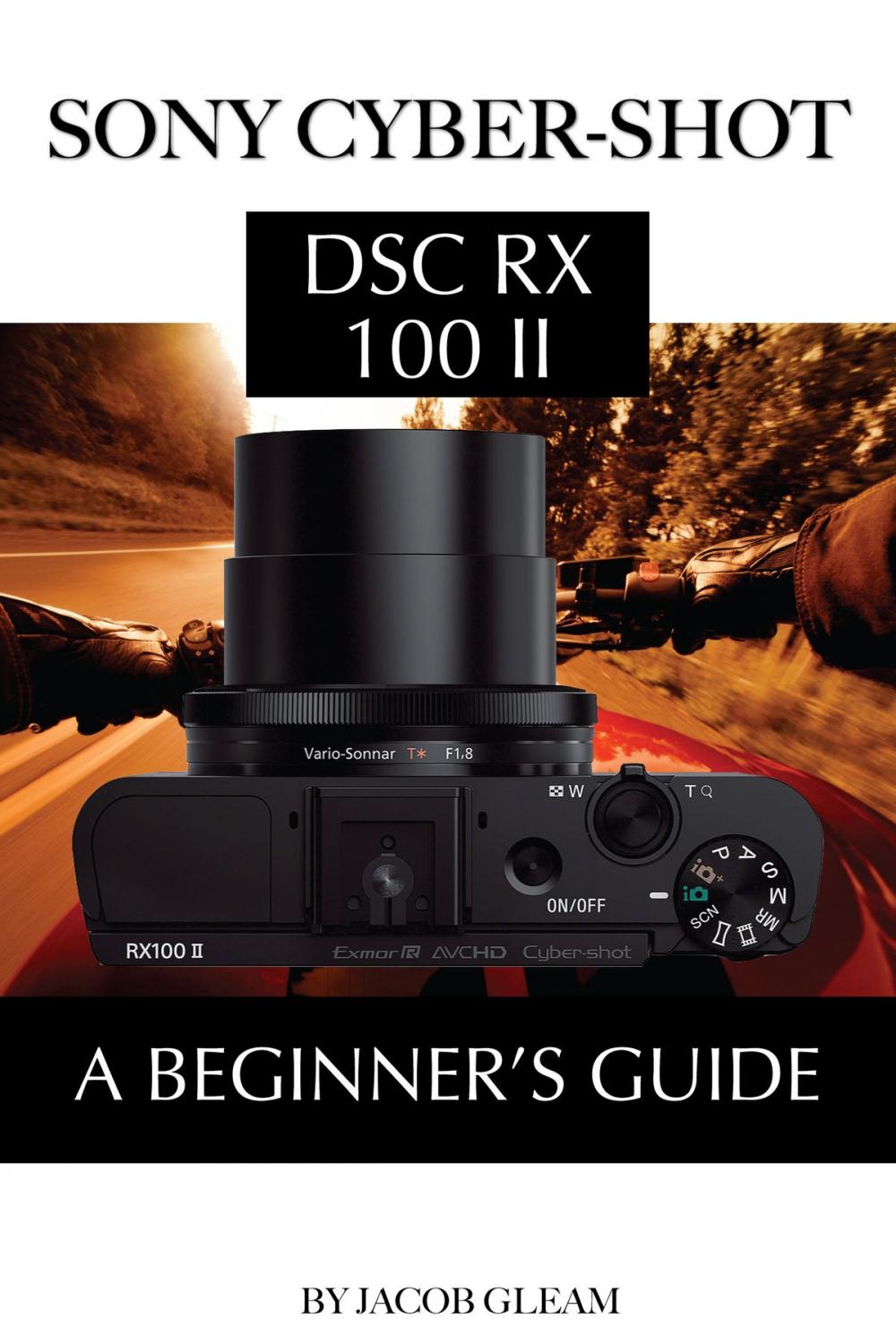 Big bigCover of Sony DSC - RX10: Ultimate Beginner’s Guide
