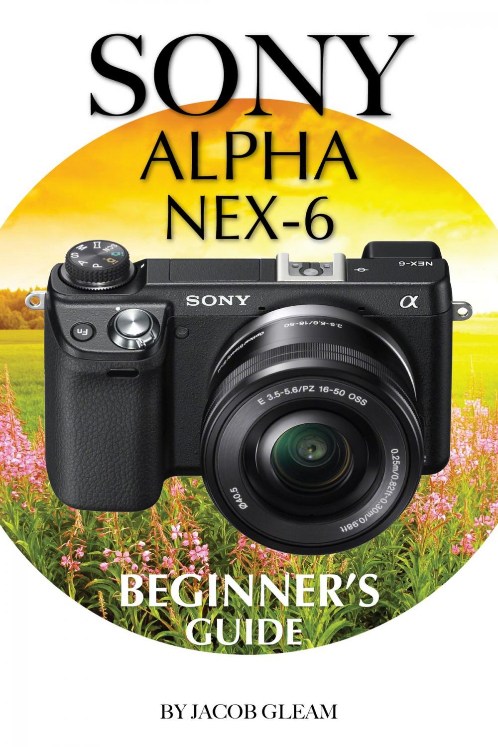 Big bigCover of Sony Alpha Nex-6: Beginner’s Guide