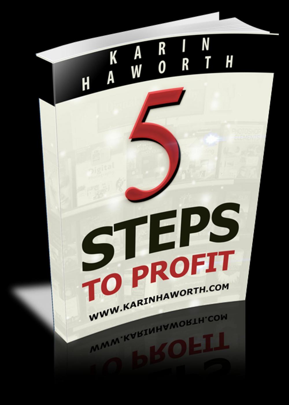 Big bigCover of 5 Steps to Profit