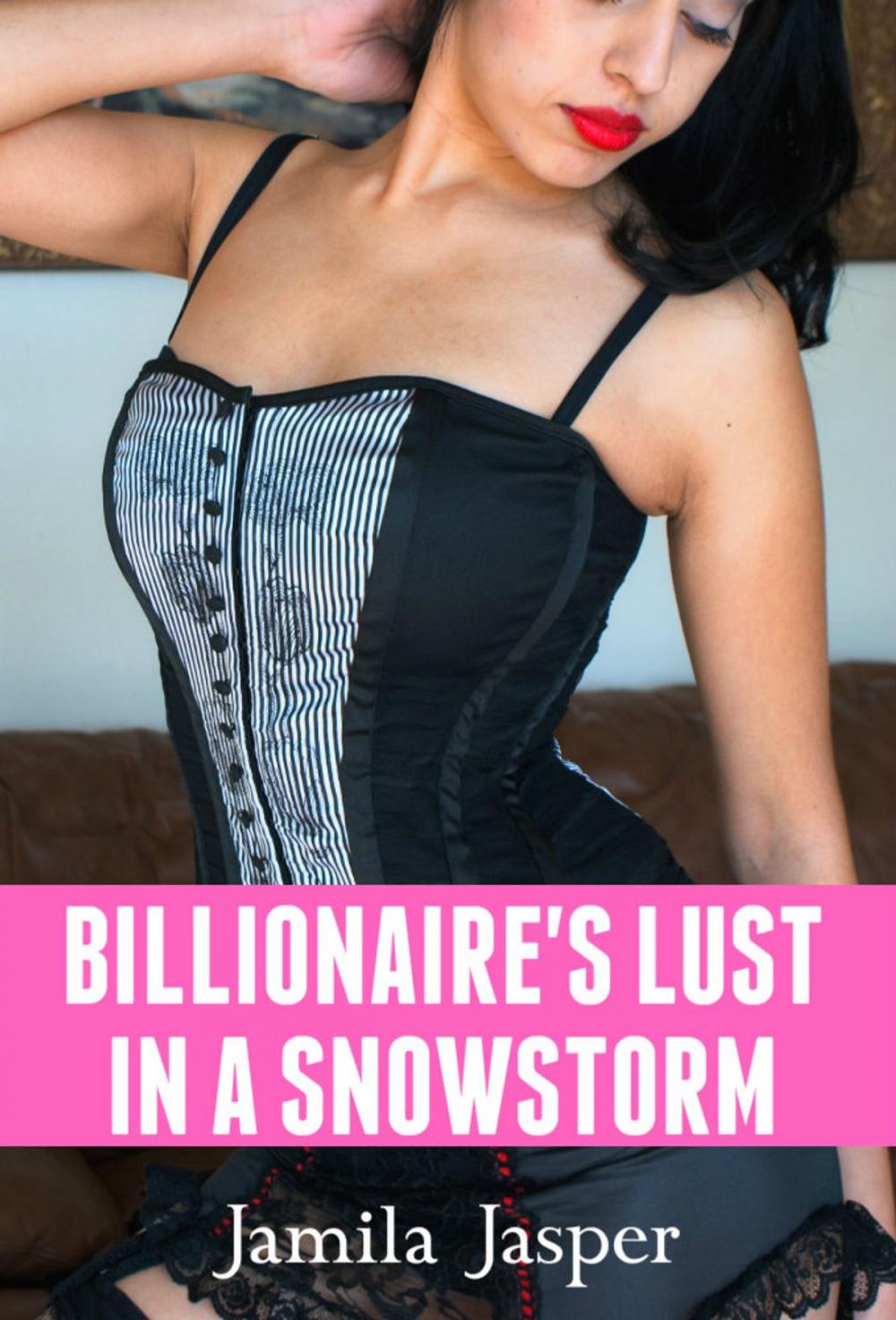 Big bigCover of Billionaire's Lust In A Snowstorm
