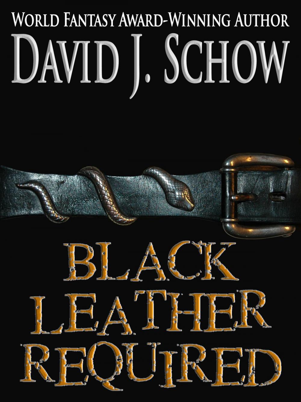 Big bigCover of Black Leather Required