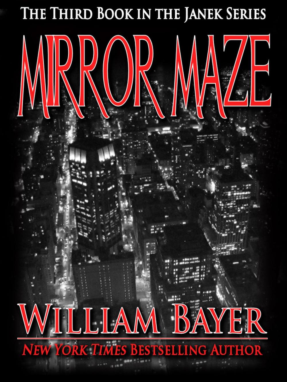Big bigCover of Mirror Maze