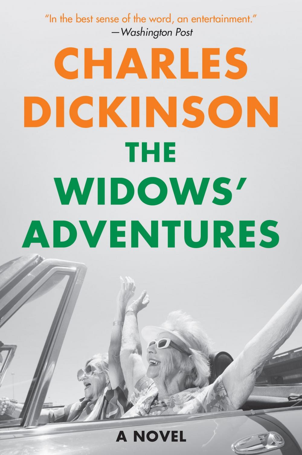 Big bigCover of The Widows' Adventures
