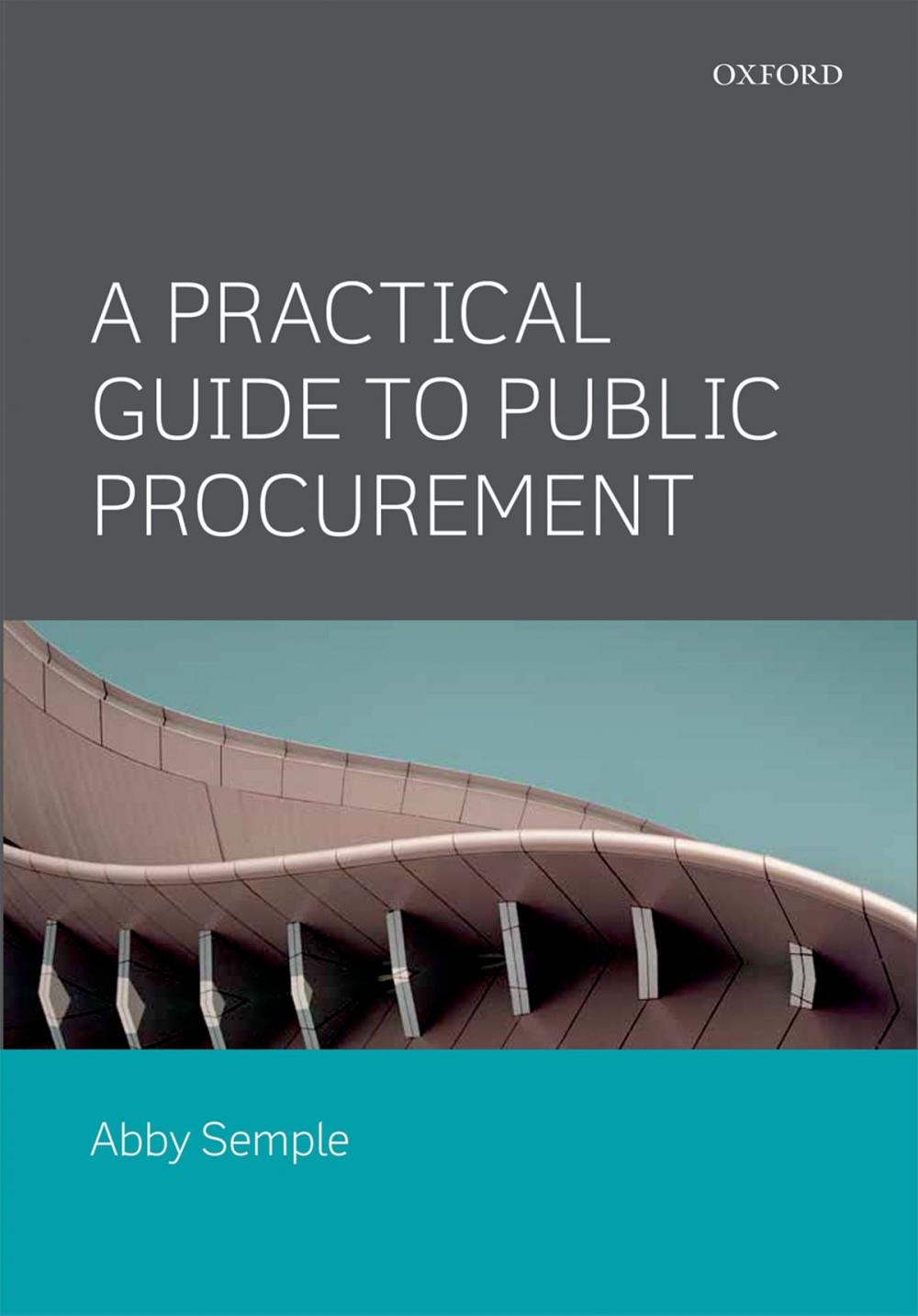 Big bigCover of A Practical Guide to Public Procurement