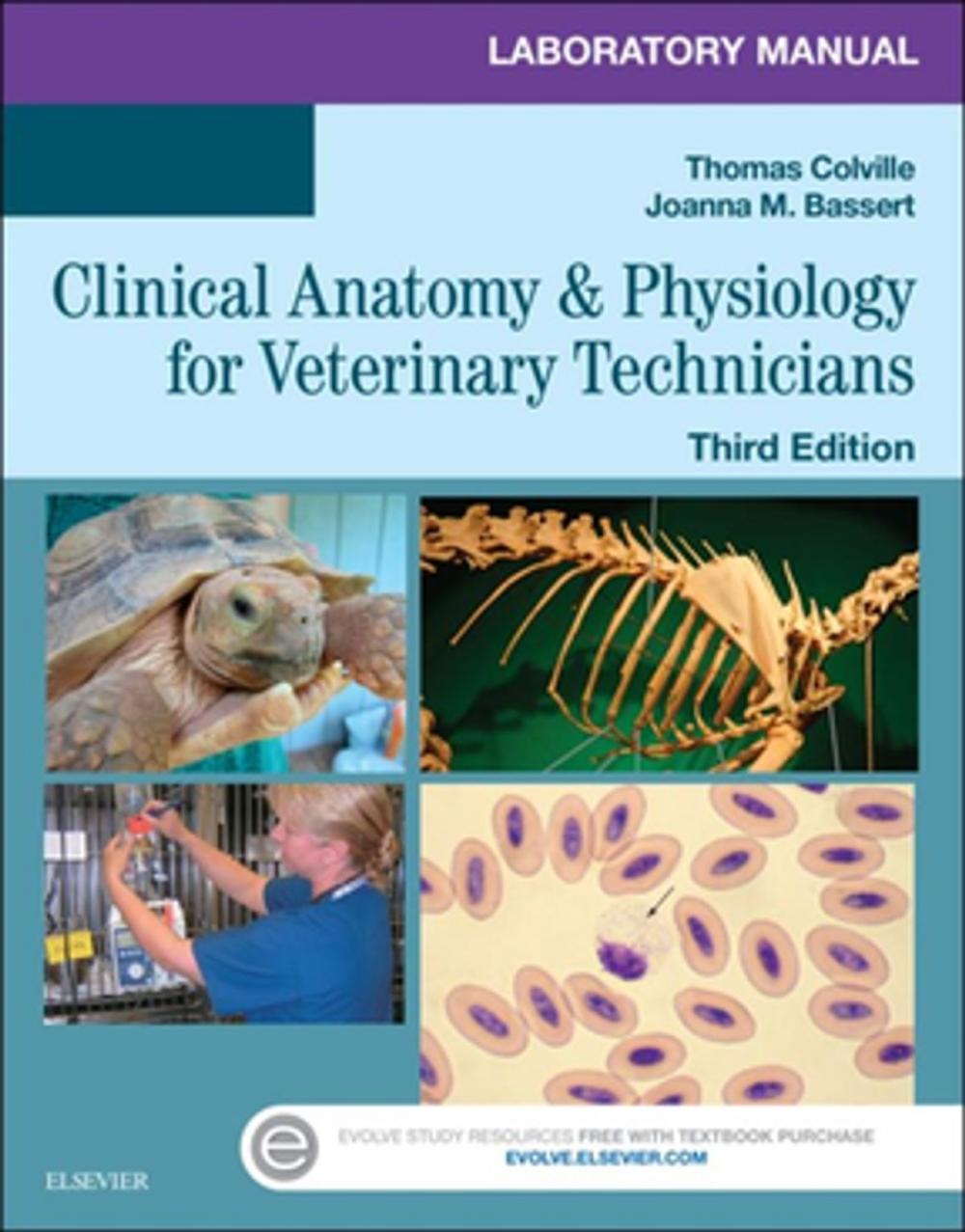 Big bigCover of Laboratory Manual for Clinical Anatomy and Physiology for Veterinary Technicians - E-Book