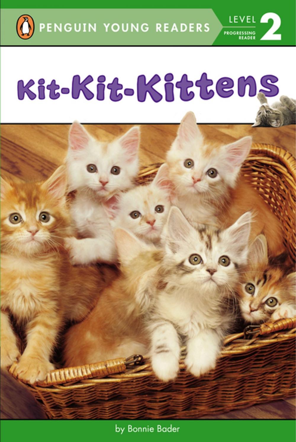 Big bigCover of Kit-Kit-Kittens