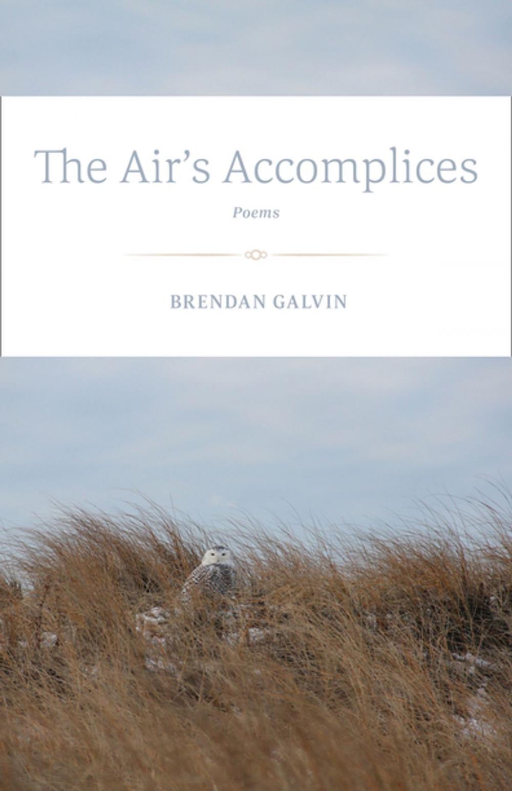 Big bigCover of The Air's Accomplices
