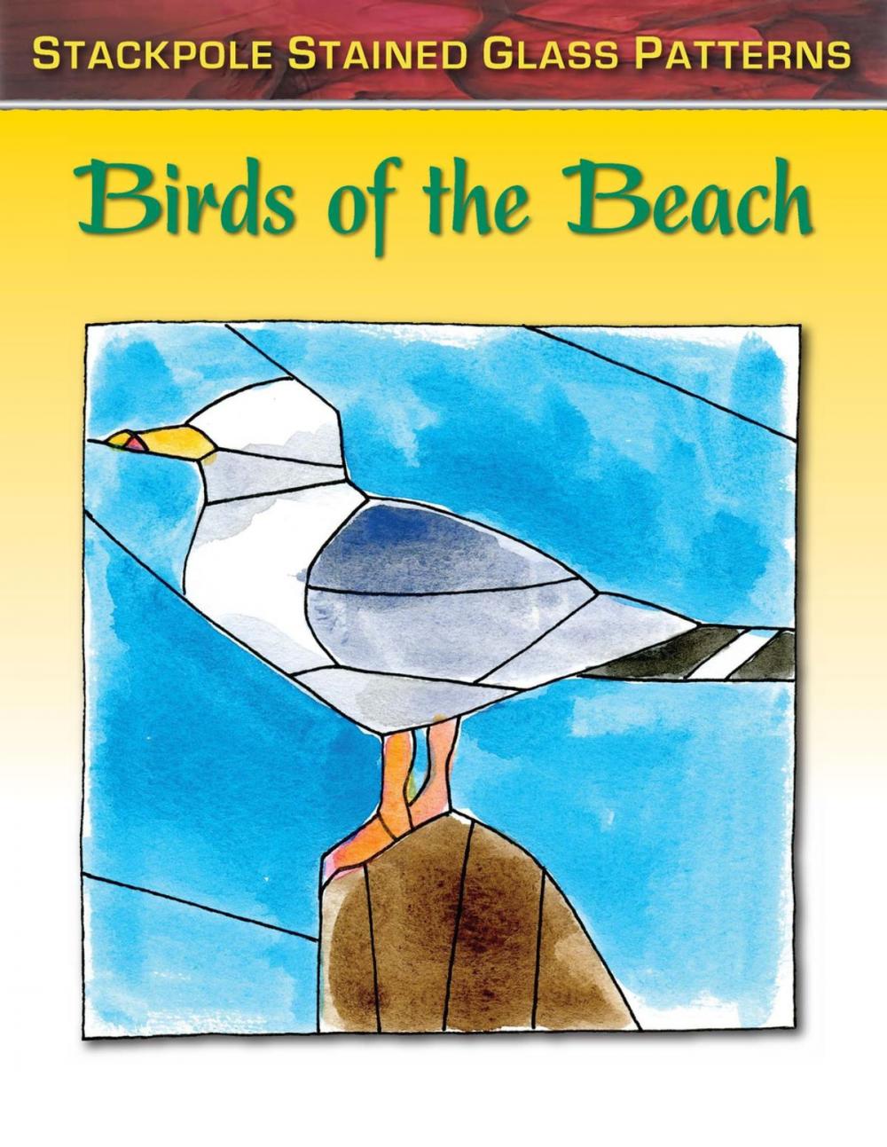 Big bigCover of Birds of the Beach