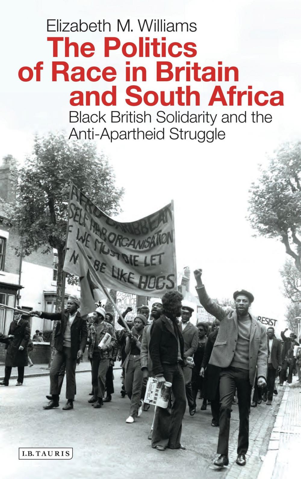 Big bigCover of The Politics of Race in Britain and South Africa