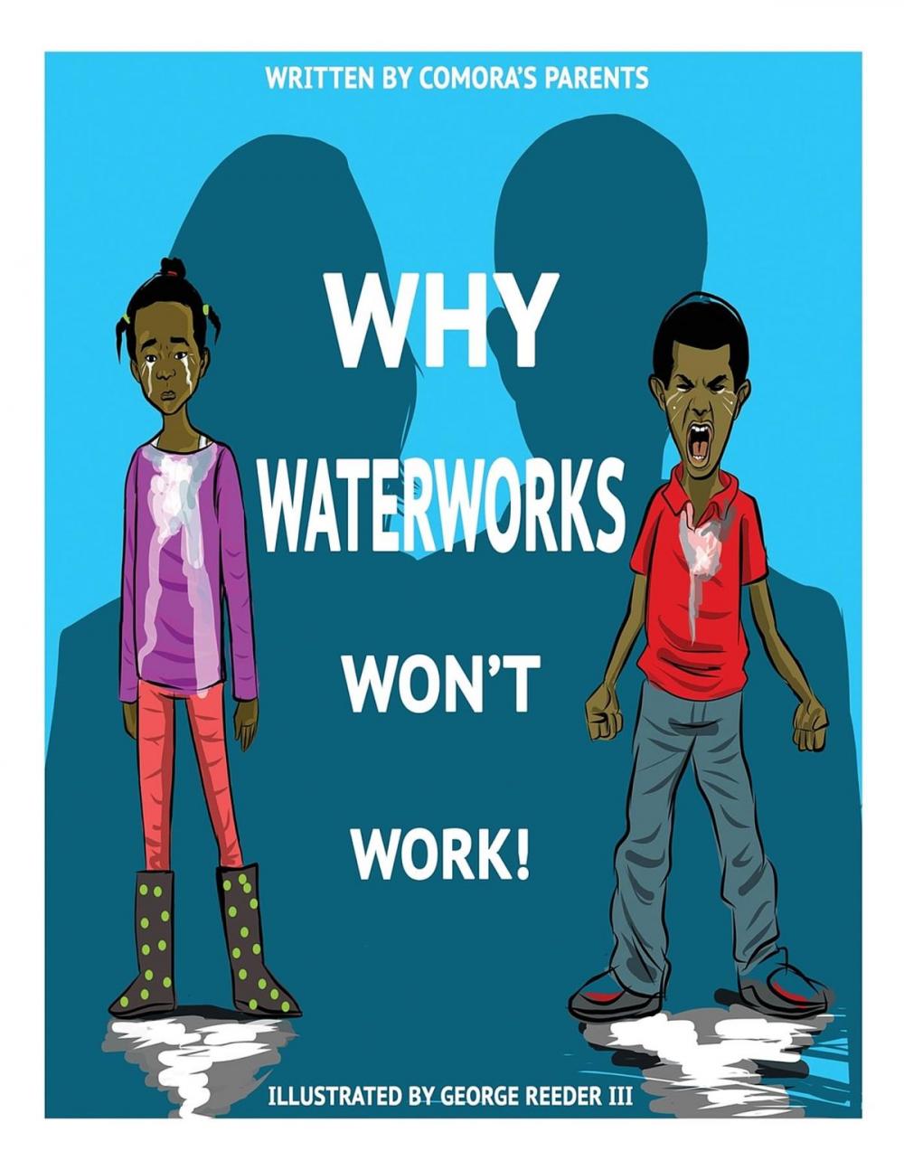 Big bigCover of Why Waterworks Won't Work