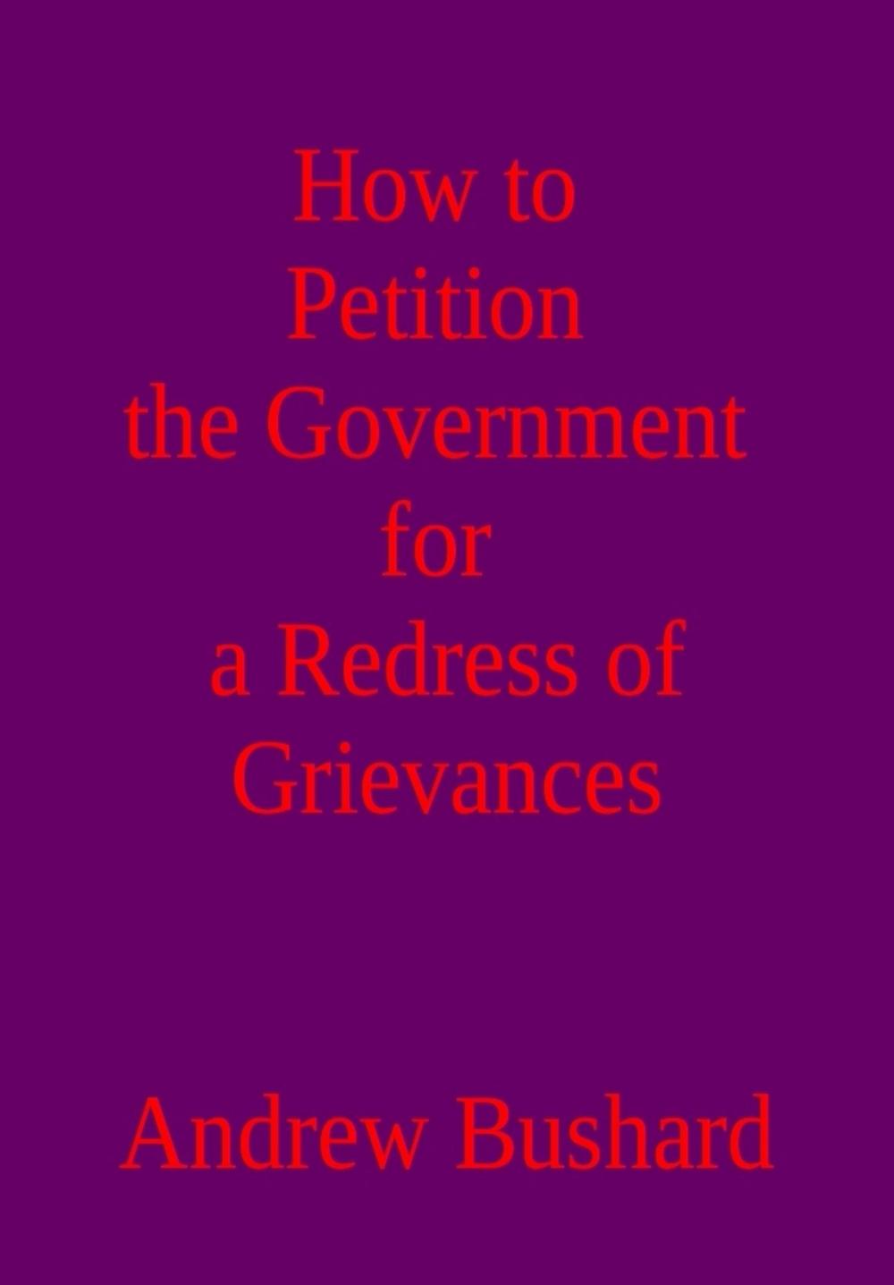 Big bigCover of How to Petition the Government for a Redress of Grievances