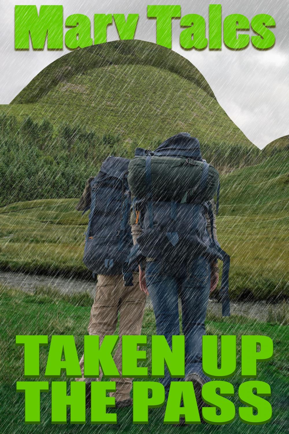 Big bigCover of Taken Up The Pass: Multiple Partner Erotica