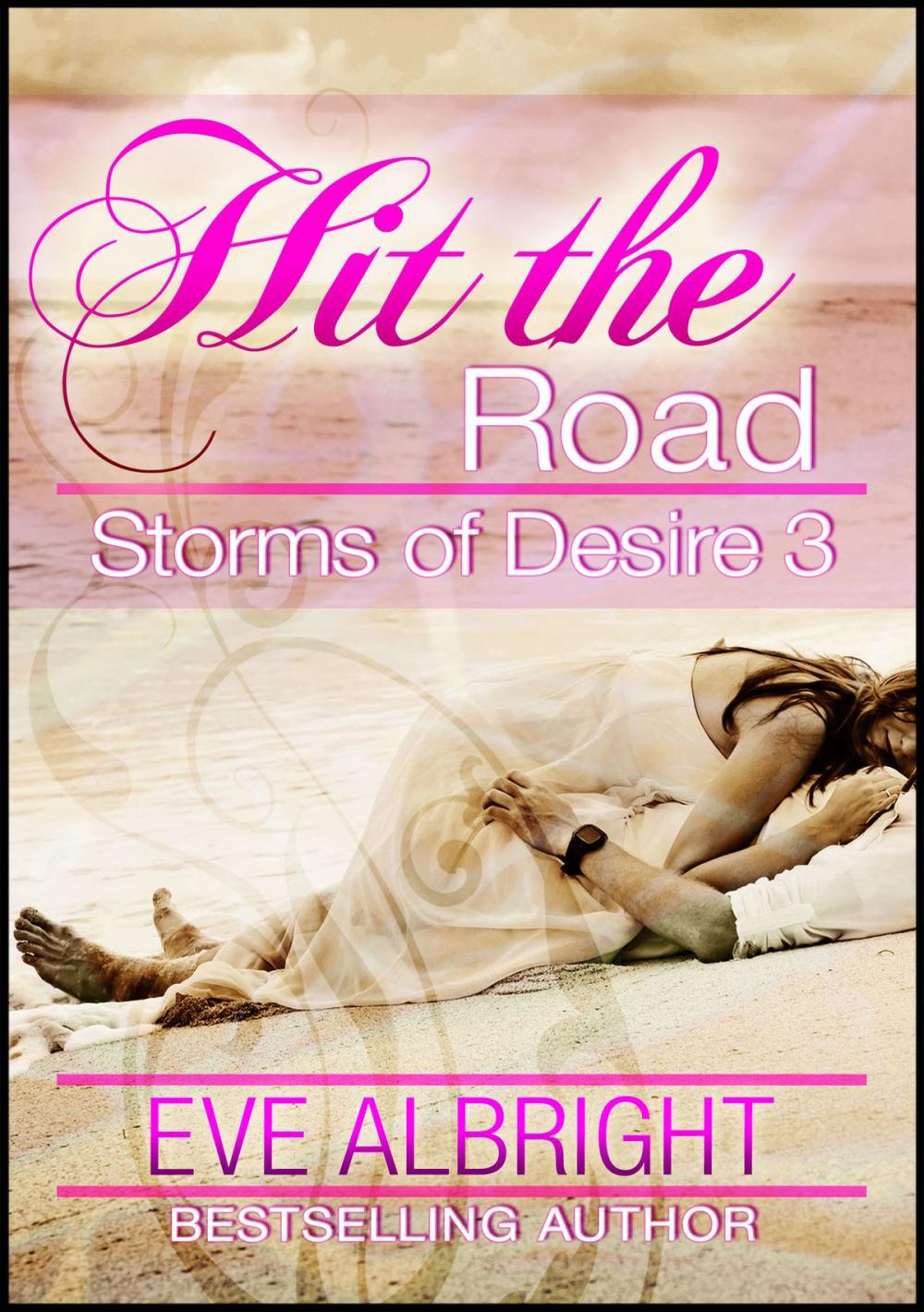 Big bigCover of Hit the Road: Storms of Desire 3