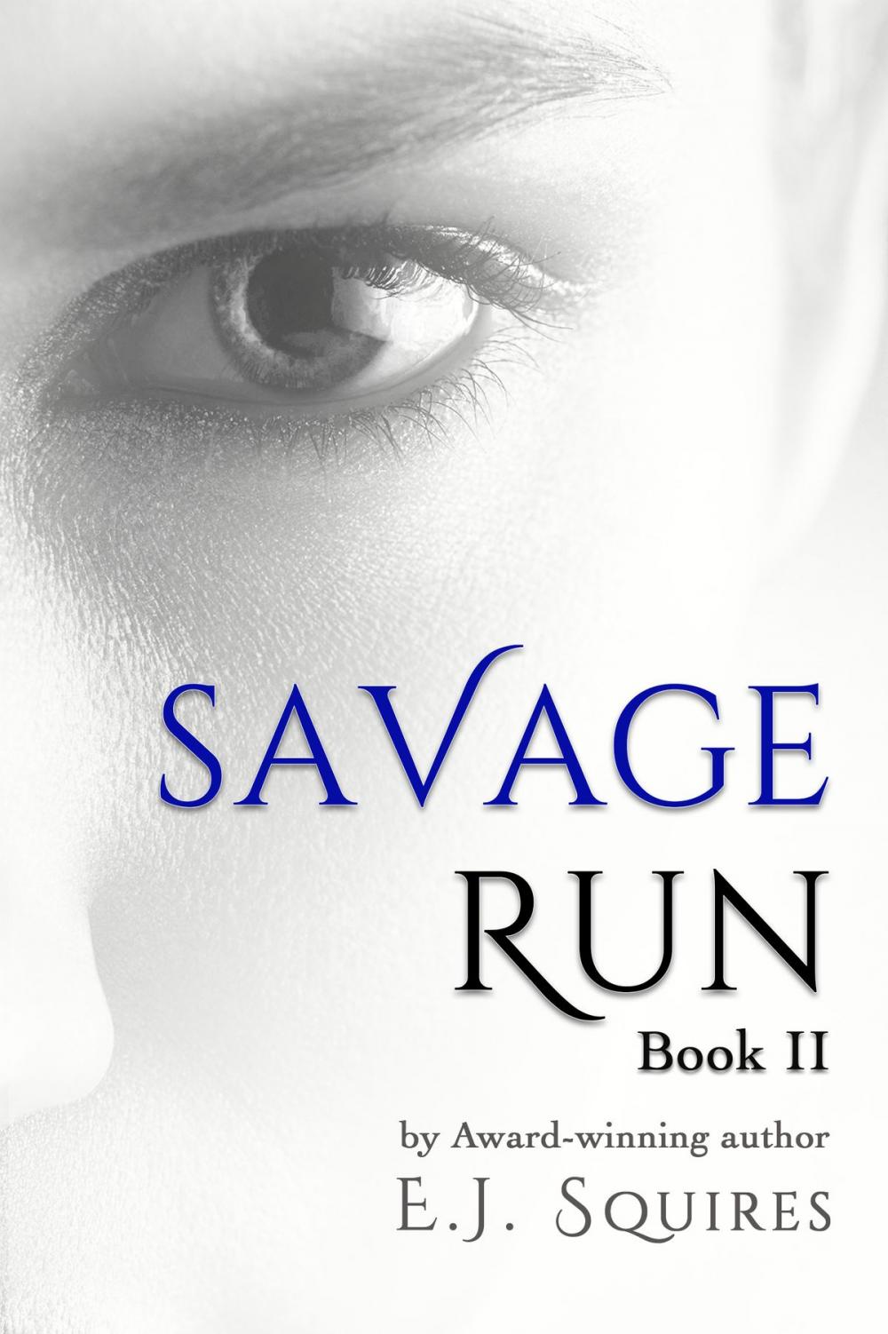 Big bigCover of Savage Run Book II