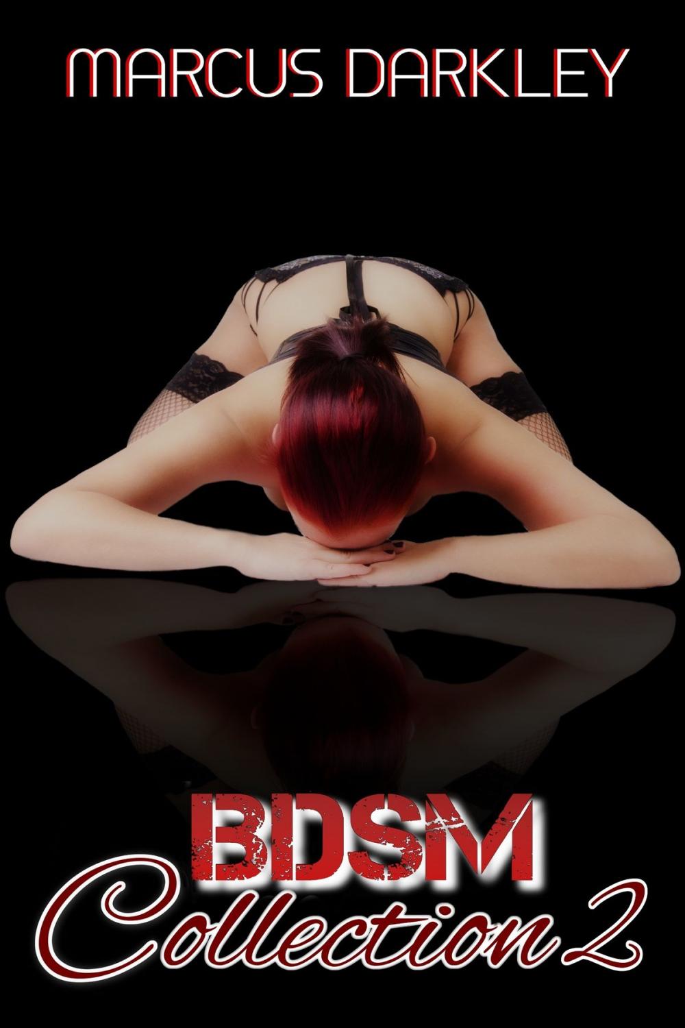 Big bigCover of BDSM Collection 2